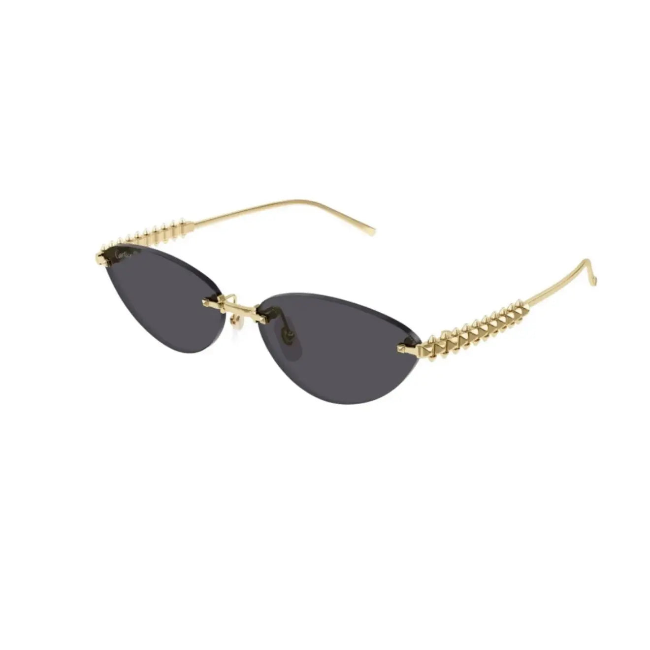 Cartier CT0543S